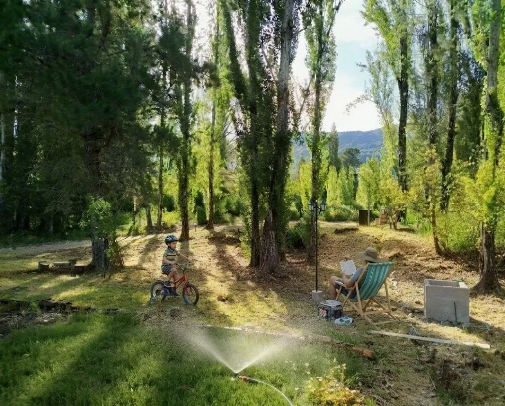 Claro en el bosque alrededor de la casa